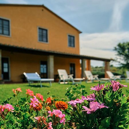 8380 Agriturismo Il Saragiolo Манчіано Екстер'єр фото